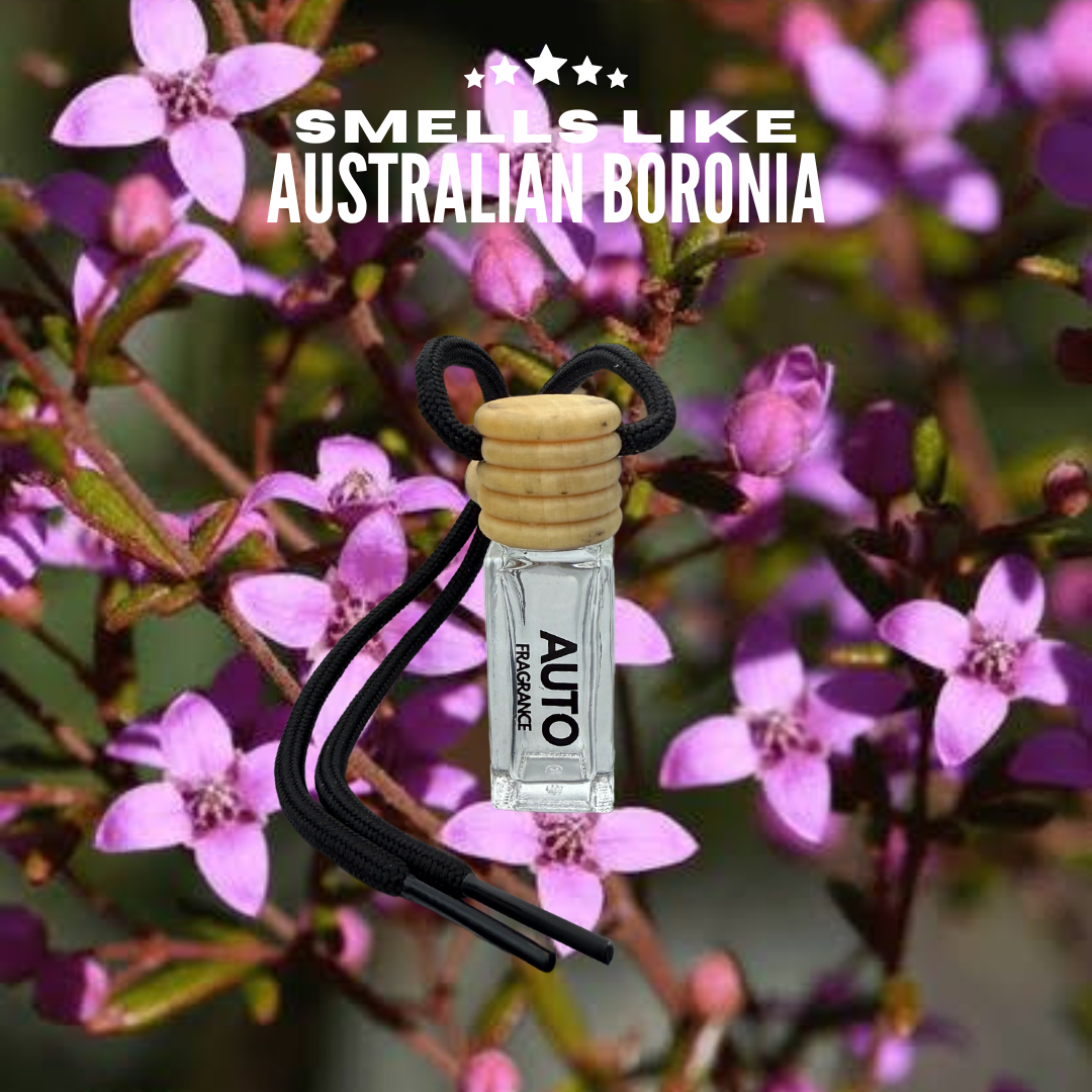 Australian Boronia Car Air Freshener – Long-Lasting Aroma